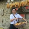 锦绣月光