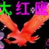 大红鹰（图片皇）